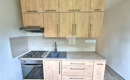 Pronájem bytu 2+1 54 m², Palackého, Aš, okres Cheb