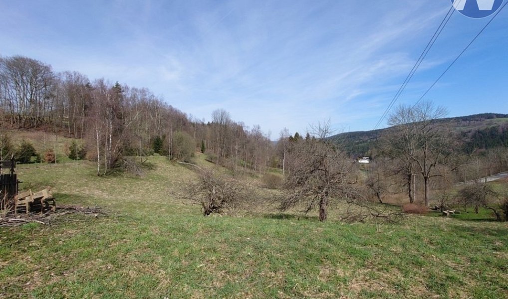 Prodej stavebního pozemku 3 652 m², Záblatí – náhled fotky 6