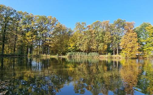 Prodej vodní plochy 33 500 m², Dolní Roveň - Litětiny, okres Pardubice