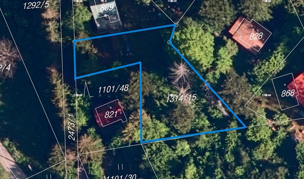 Prodej lesa 644 m², Dolní Lomná – náhled fotky 2