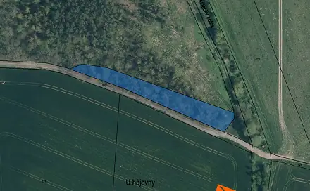 Prodej lesa 509 m², Nemyslovice, okres Mladá Boleslav