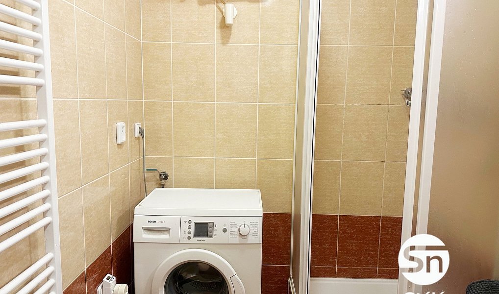 Pronájem bytu 1+kk 31 m², Praha – náhled fotky 10