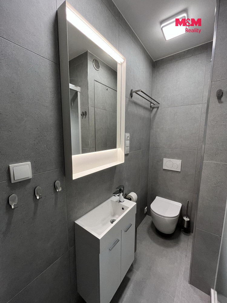 Pronájem bytu 1+1 40 m² – fotografie 2