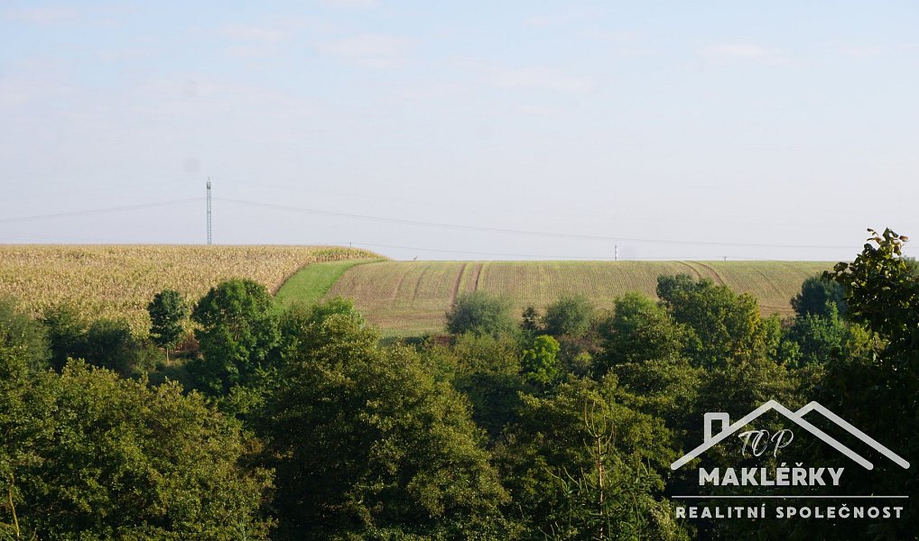 Prodej zahrady 379 m², Pašinka – náhled fotky 3