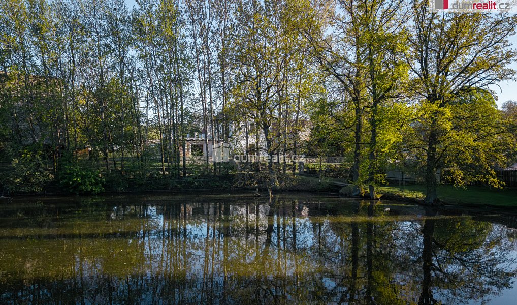 Prodej domu 266 m² s pozemkem 6 387 m², Pyšely – náhled fotky 46