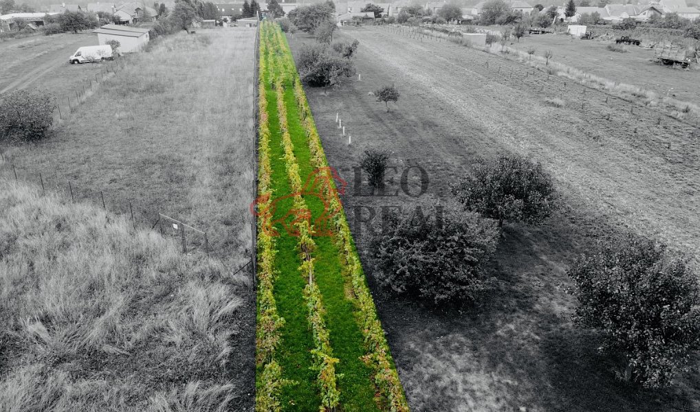 Prodej zahrady 1 237 m², Týnec – náhled fotky 8