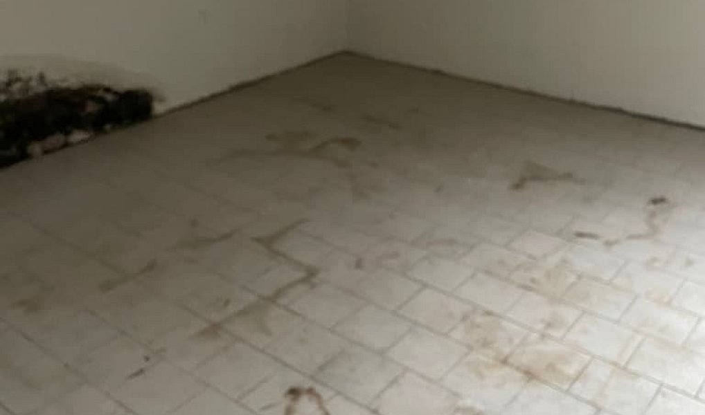 Prodej domu 345 m² s pozemkem 188 m², Rosice – náhled fotky 10