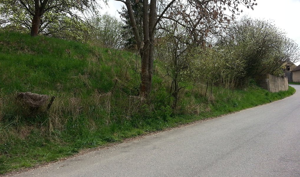 Prodej stavebního pozemku 4 736 m², Sedlčany – náhled fotky 13