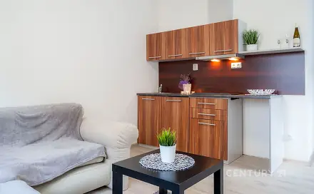 Pronájem bytu 1+kk 20 m², Teplická, Hranice - Hranice I-Město, okres Přerov