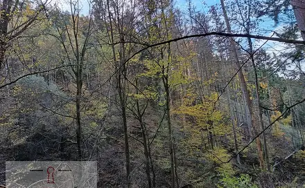Ostatní