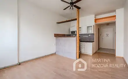Prodej bytu 1+kk 24 m², Patočkova, Praha 6 - Břevnov