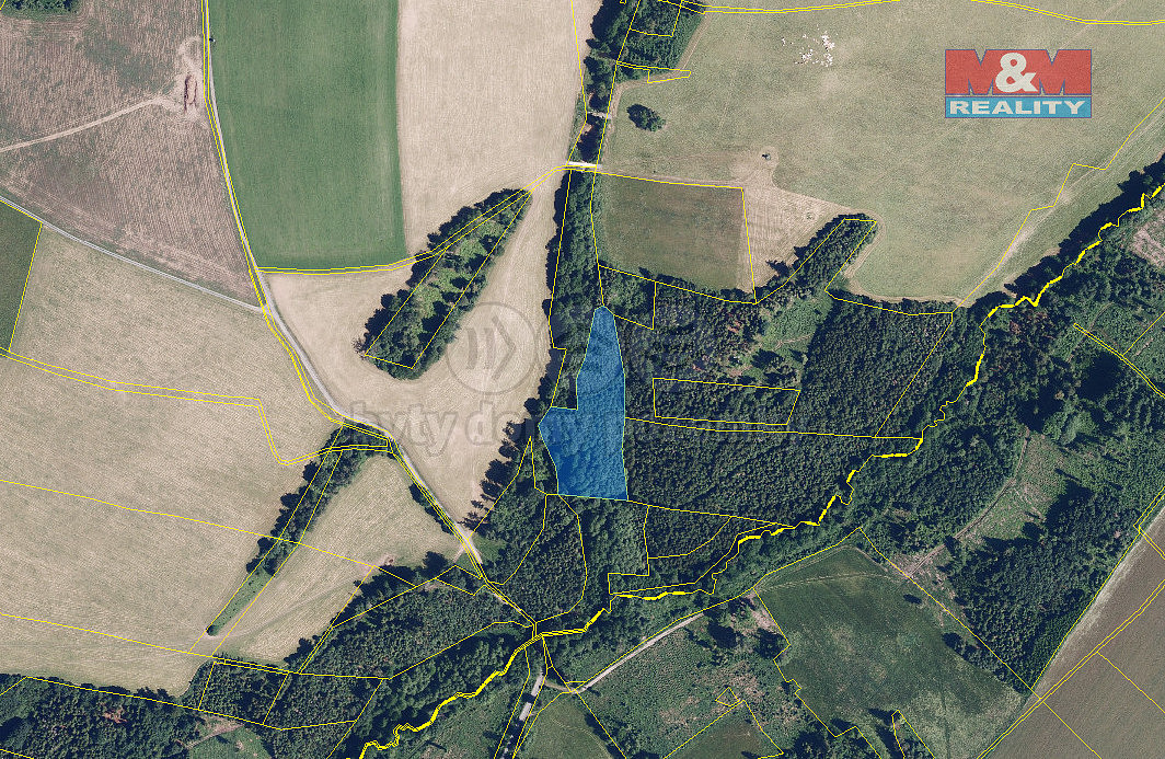 Prodej lesa 8 566 m² – fotografie 2