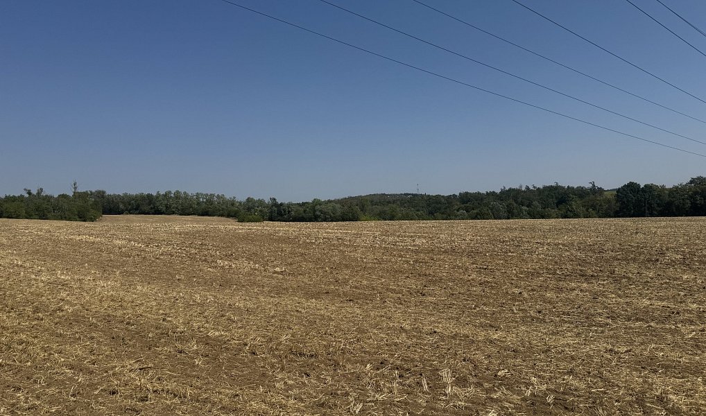 Prodej zahrady 500 m², Ořechov – náhled fotky 5