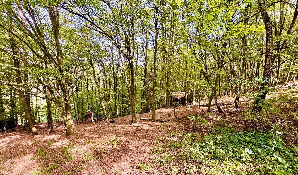 Prodej chaty/chalupy 32 m² s pozemkem 16 m², Doubravník – náhled fotky 22