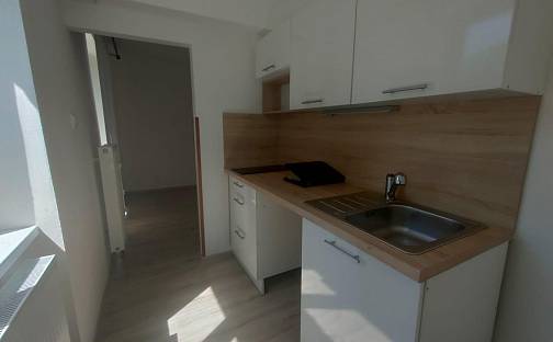 Pronájem bytu 2+kk 33 m², Okružní, Meziboří, okres Most