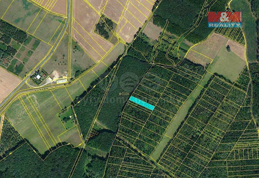 Prodej lesa 1 476 m² – fotografie 3