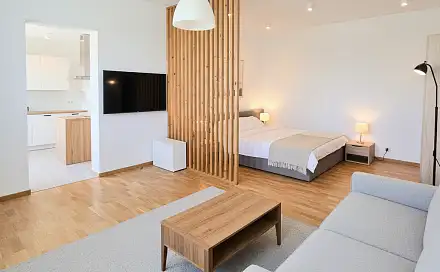 Prodej bytu 1+1 33 m², Libušinka, Prostějov