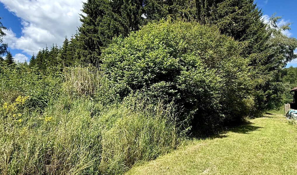 Prodej zahrady 1 072 m², Valy – náhled fotky 14