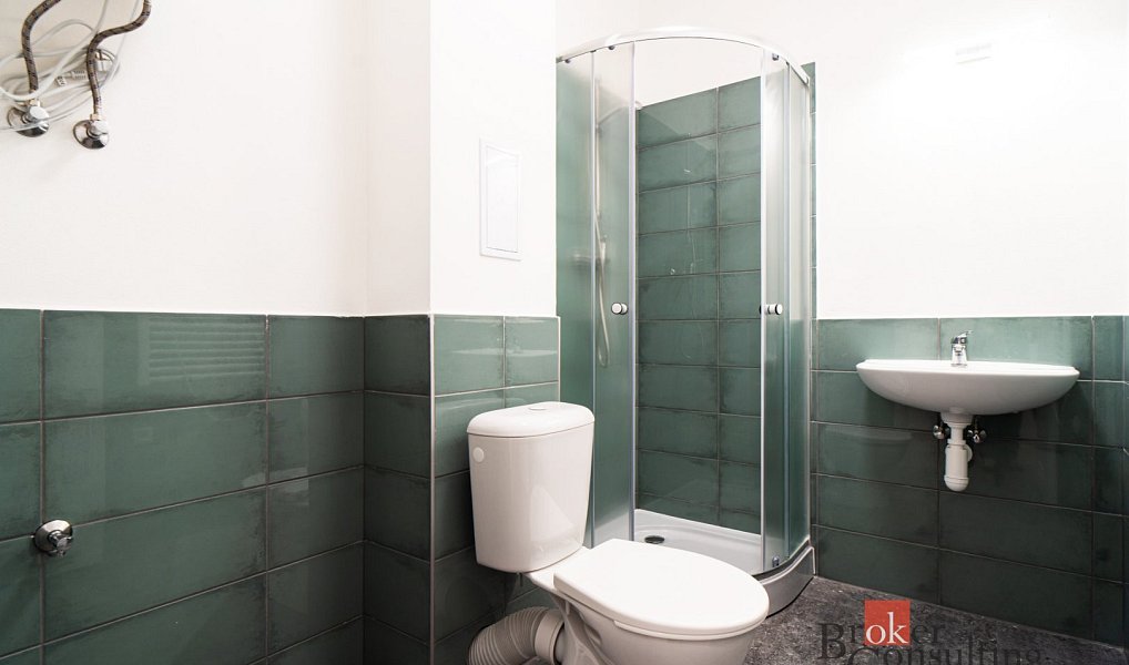 Prodej bytu 1+kk 25 m², Ostrava – náhled fotky 11