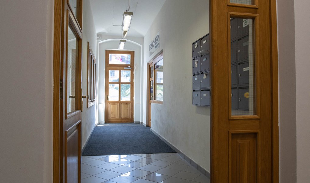 Pronájem bytu 1+kk 63 m², Říčany – náhled fotky 35