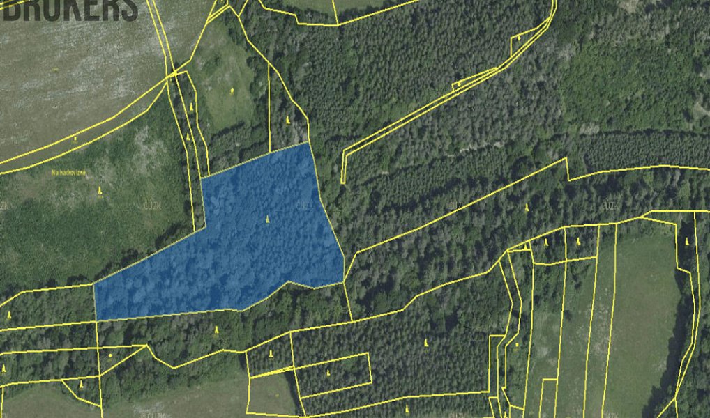 Prodej lesa 21 836 m², Hracholusky – náhled fotky 4