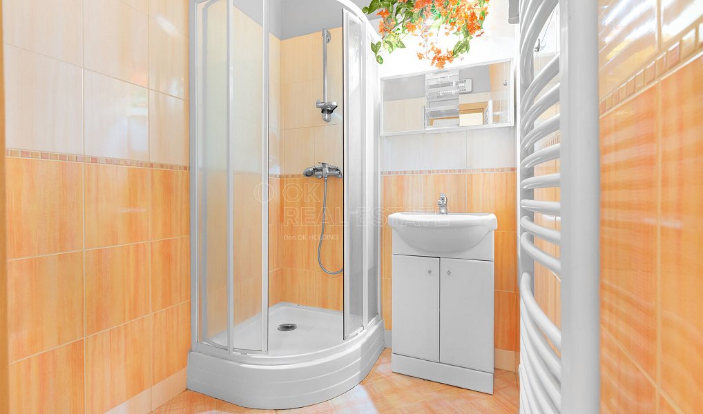 Prodej bytu 1+1 45 m², Příbram – náhled fotky 5