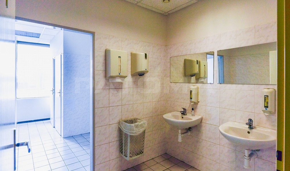 Pronájem kanceláře 165 m², Praha – náhled fotky 16