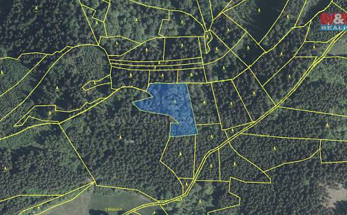 Prodej lesa 5 438 m², Lužná, okres Vsetín