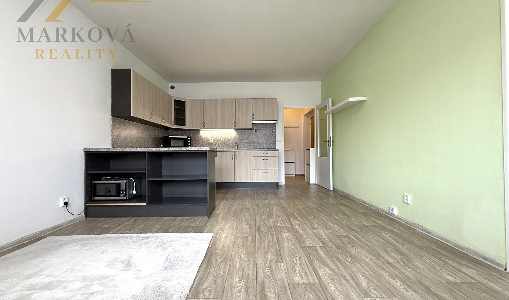 Prodej bytu 2+kk 46 m², České Budějovice – náhled fotky 11