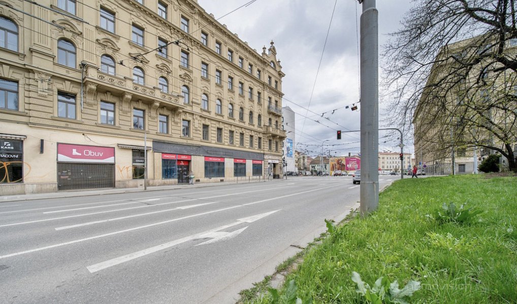 Prodej obchodních prostor 177 m², Brno – náhled fotky 4