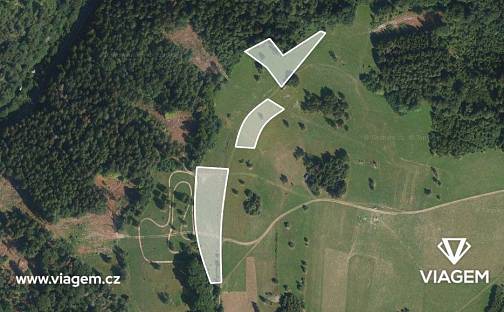 Prodej pole 2 368 m², Železný Brod, okres Jablonec nad Nisou