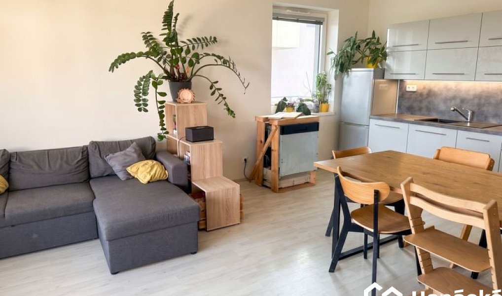 Pronájem bytu 2+kk 59 m², Olomouc – náhled fotky 3