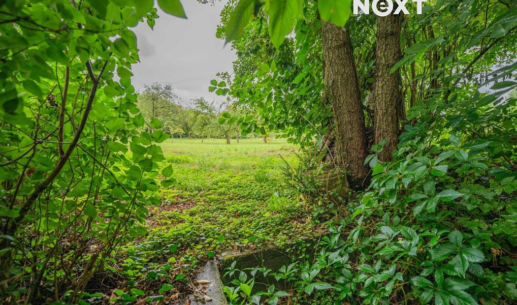 Prodej stavebního pozemku 3 456 m², Loštice – náhled fotky 17