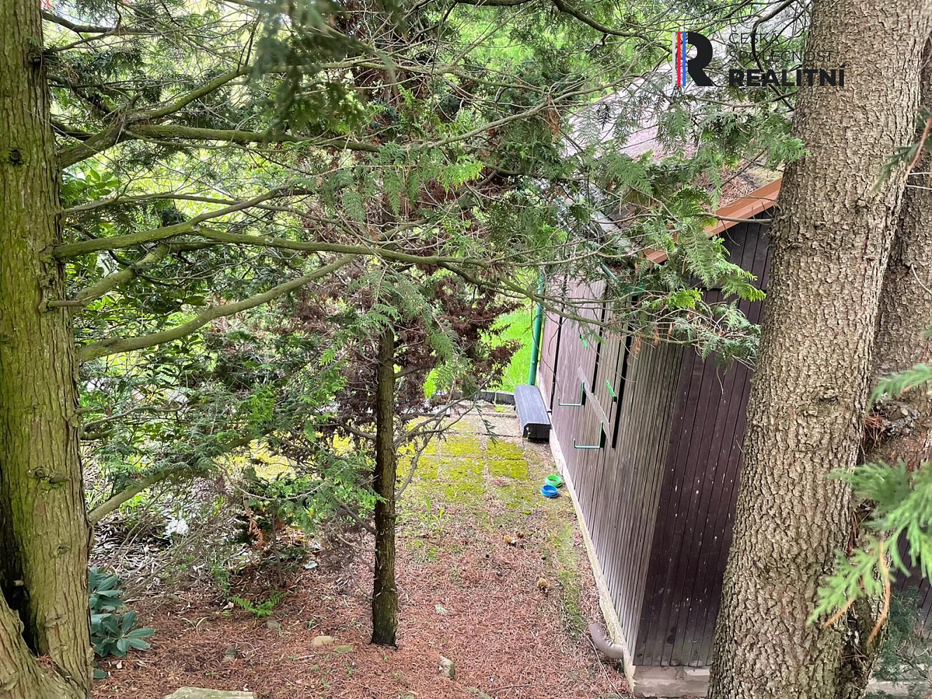 Fotka 5 z 11