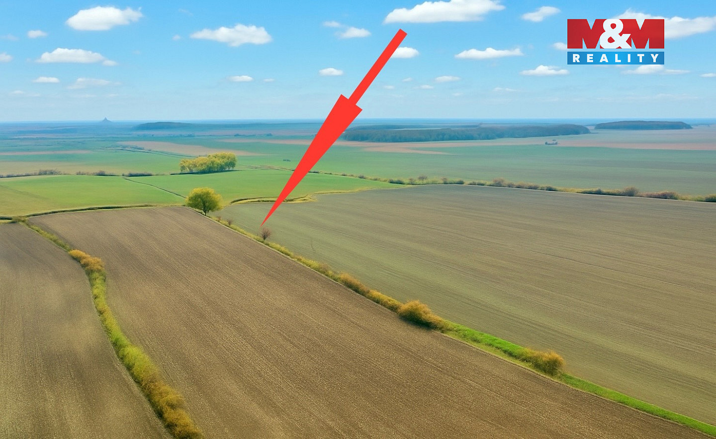 Prodej pole 7 125 m² — photo 3
