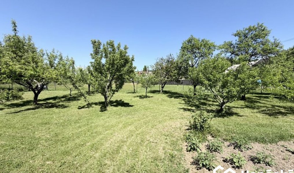 Prodej zahrady 808 m², Jankovice – náhled fotky 22