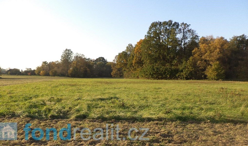 Prodej pozemku 6 981 m², Petrovice u Karviné – náhled fotky 2