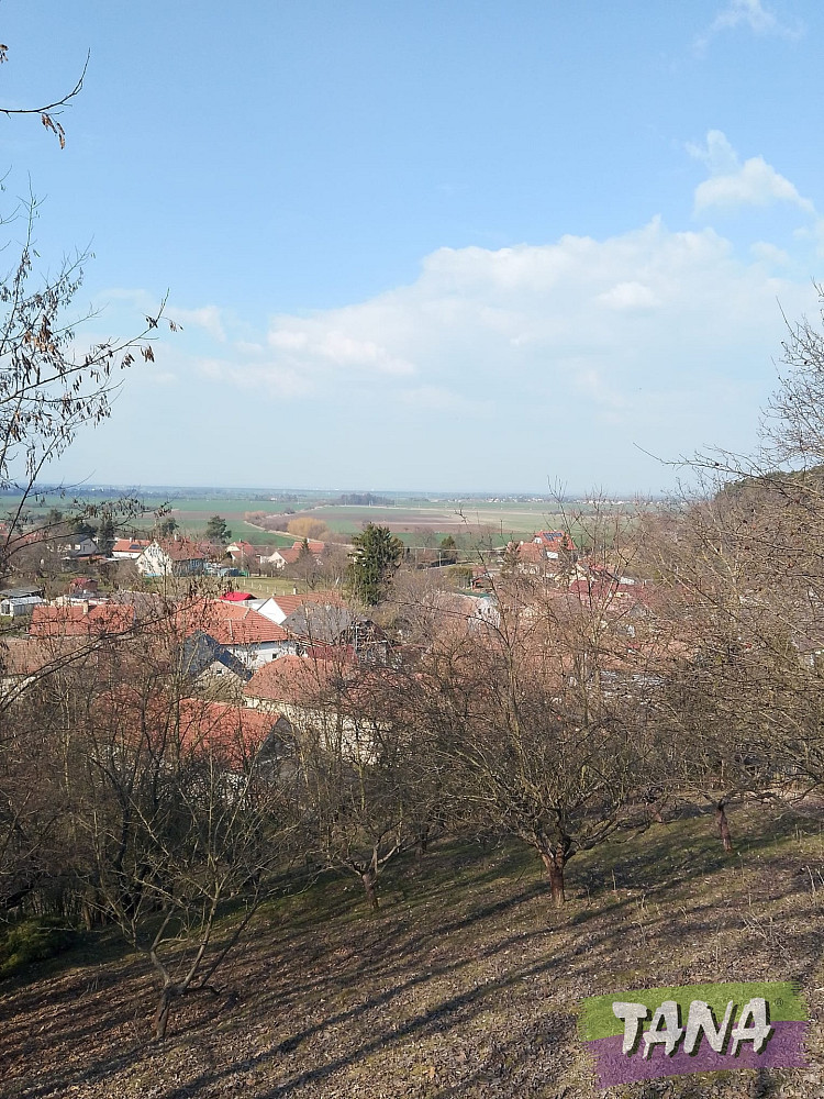 Prodej domu 145 m² s pozemkem 3 028 m²