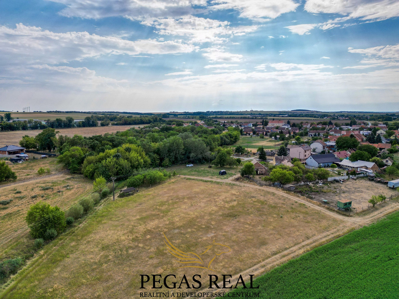 Prodej pole 4 688 m² – fotografie 5