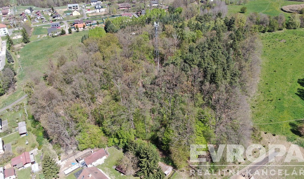 Prodej lesa 8 140 m², Zákupy – náhled fotky 2