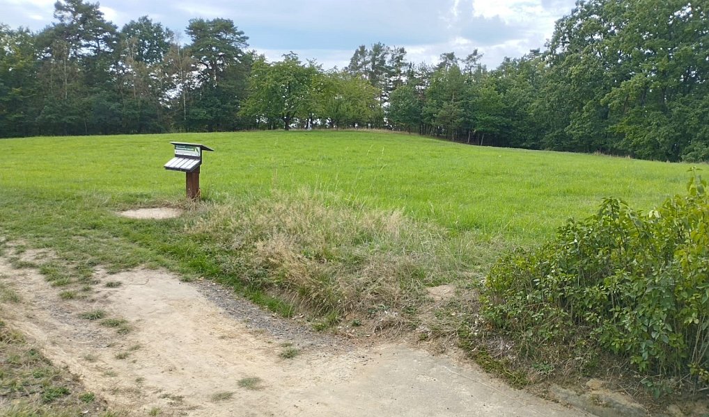 Prodej louky 10 524 m², Boseň – náhled fotky 4