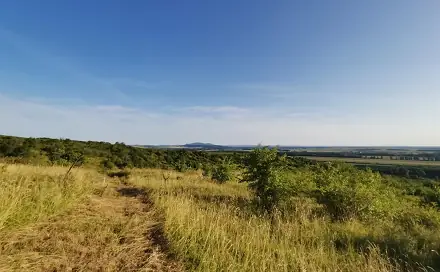 Ostatní