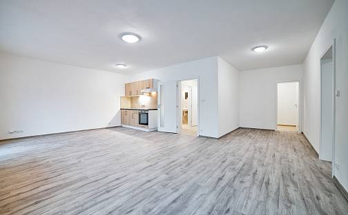 Pronájem bytu 1+kk 50 m², Rejskova, Plzeň - Východní Předměstí