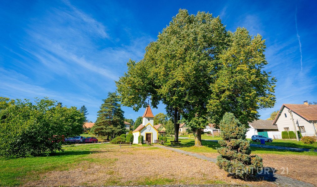Prodej domu 117 m² s pozemkem 1 901 m², Vyklantice – náhled fotky 19
