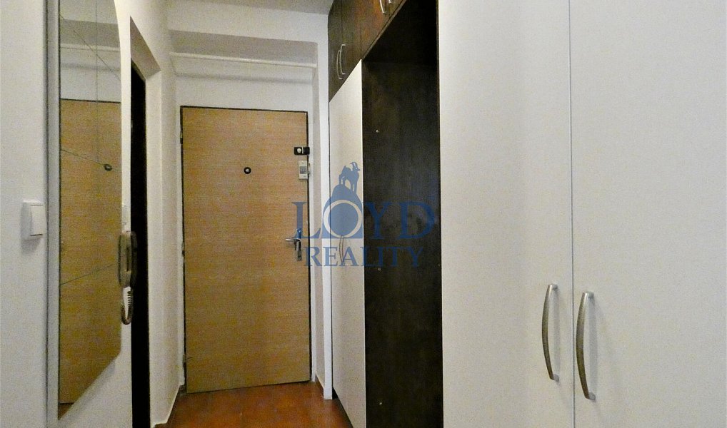 Pronájem bytu 1+1 40 m², Karlovy Vary – náhled fotky 11