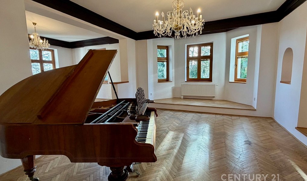 Pronájem domu 450 m² s pozemkem 1 452 m², Domažlice – náhled fotky 14