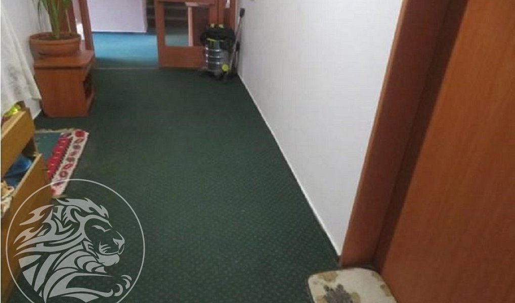 Prodej komerčního objektu (jiného typu) 2 957 m², Moravský Krumlov – náhled fotky 18