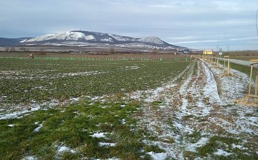 Prodej pozemku 29 901 m², Milovice, okres Břeclav