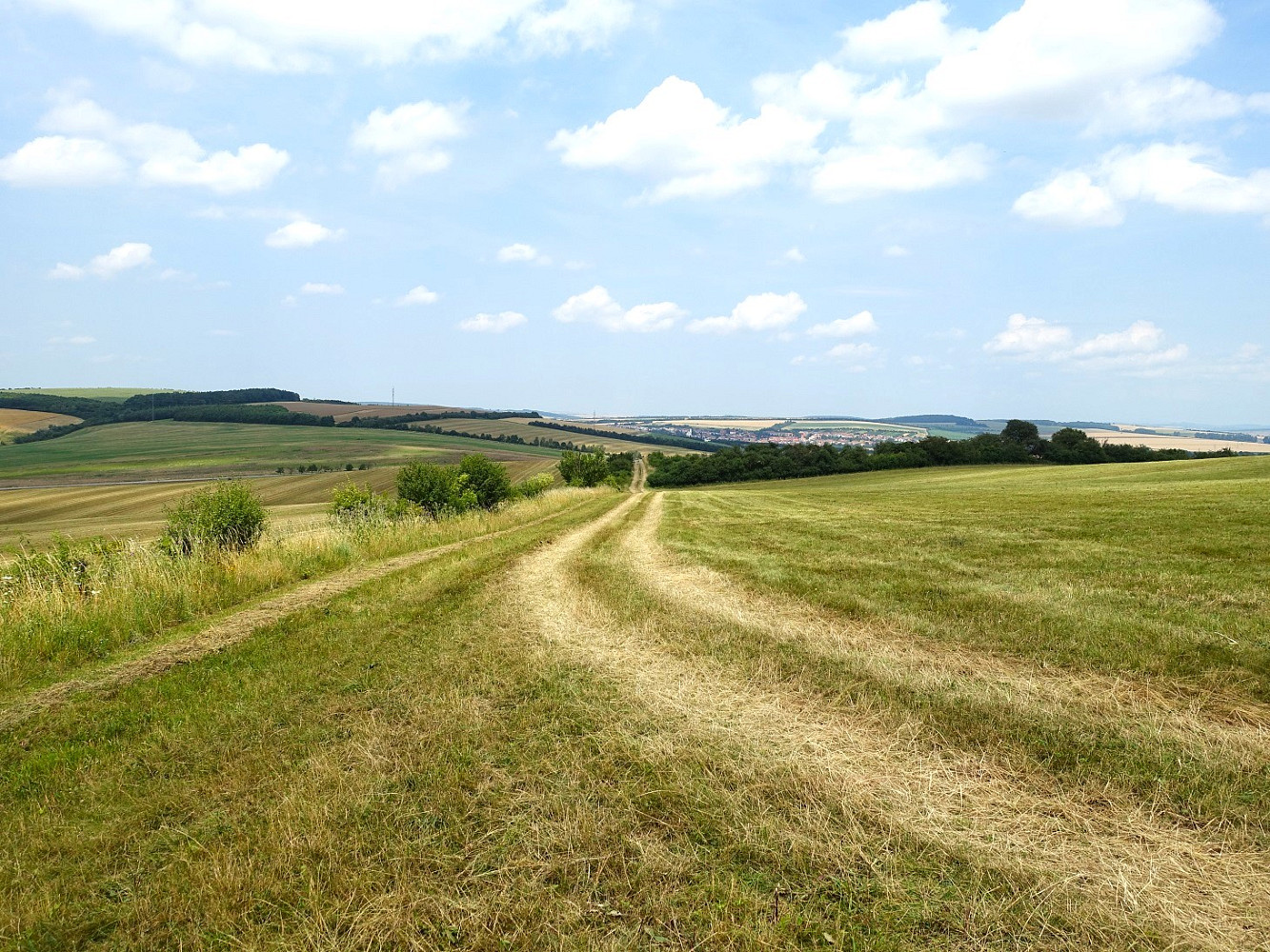 Prodej pole 6 120 m² – fotografie 4
