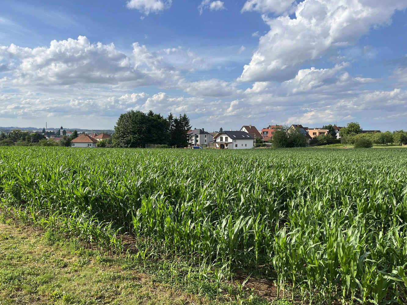 Fotka 9 z 13
